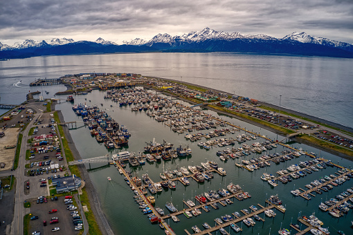 Aerial View of Boats and Shops at the Harbor in Homer, Alaska