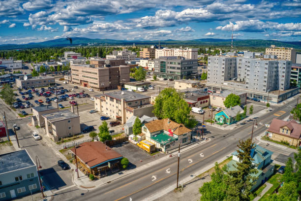 vista aerea delle fairbanks, skyline dell'alaska durante l'estate - fairbanks foto e immagini stock