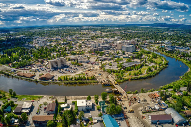 vista aerea delle fairbanks, skyline dell'alaska durante l'estate - fairbanks foto e immagini stock