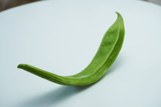 close up of sword bean on white background