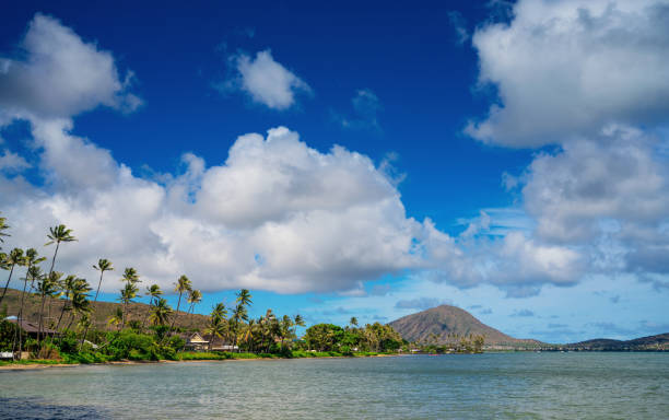 istock Kahala Beach in Oahu, Hawaii 1326552994