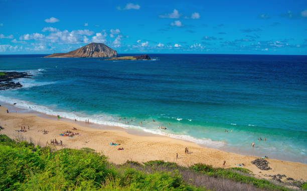 istock Makapu'u Beach shoot from the highway in Hawaii 1326553543