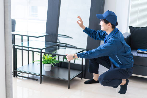 istock Moving company in beautiful room 1326553547