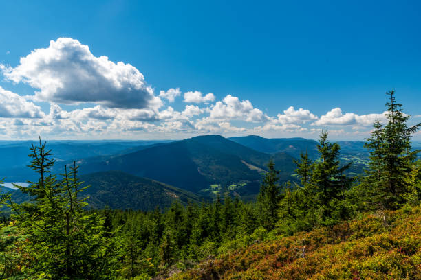 View from hiking trail bellow Lysa hora hill summit in Moravskoslezske Beskydy mountains in Czech republic View from hiking trail bellow Lysa hora hill summit in Moravskoslezske Beskydy mountains in Czech republic during beautiful summer day moravian silesian beskids photos stock pictures, royalty-free photos & images
