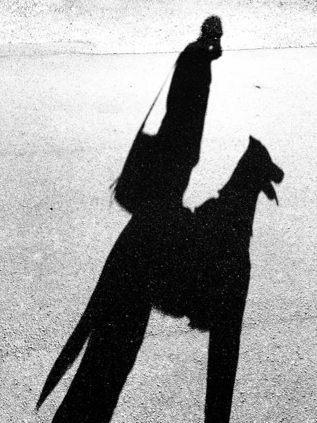 istock Man with dog silhouette 1326559114