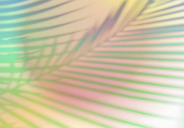 istock Natural shadow overlay on abstract gradient colorful background with grainy texture, for product design and social media 1326562781
