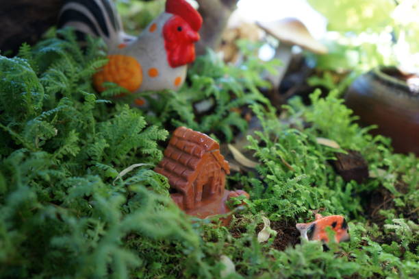 istock Small decoration plants in a Mini garden. self ecosystem in modern interior. 1326565904