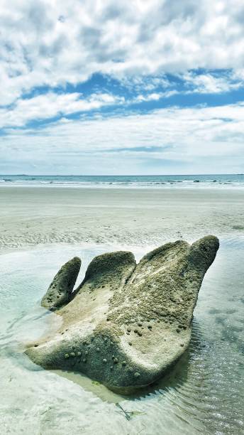 istock Dream of ocean 1326566155