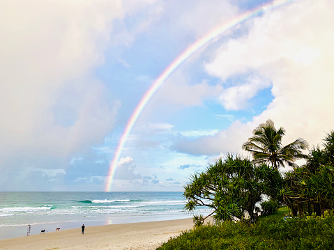 Horizontal landscape photo of part of a rainbow curving over the beach and the ocean at Byron Bay, NSW. In the distance, people and dogs are walking on the beach, coastal Pandanus and palm trees are in the foreground.