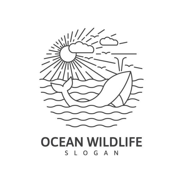 Ocean wildlife whale monoline outdoor nature vector Ocean wildlife whale monoline outdoor nature vector illustration marine life logo stock illustrations