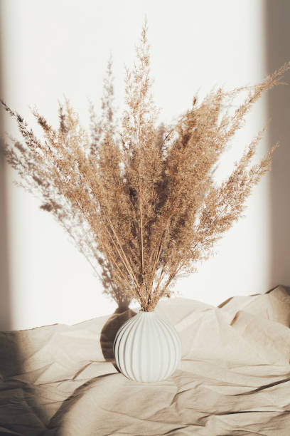 istock Pampas grass in vase on white background and crumpled linen with deep shadow. natural background. minimal, stylish concept. new trendy home decor. 1326568896