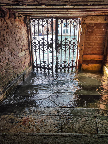 venecia en aguas altas, acqua alta - acqua alta fotografías e imágenes de stock