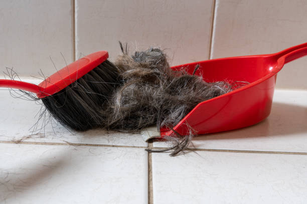 istock Brush broom with dustpan cleaning human hair 1326569652