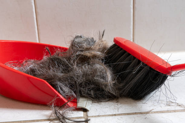 istock Brush broom with dustpan cleaning human hair 1326570398