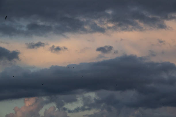 istock Dark clouds before rain with birds silhouettes against background 1326570558