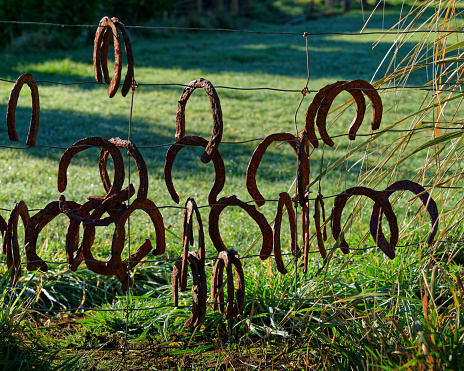 Old rusty horseshoes hanging upside down on a wire fence, New Zealand.