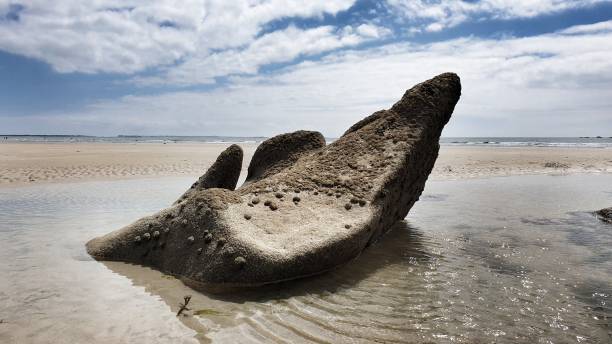 istock A rock in the water 1326571880