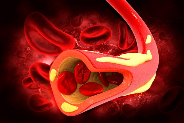 células sanguíneas en una arteria. ilustración 3d - healthcare and medicine human cardiovascular system anatomy human blood vessel fotografías e imágenes de stock