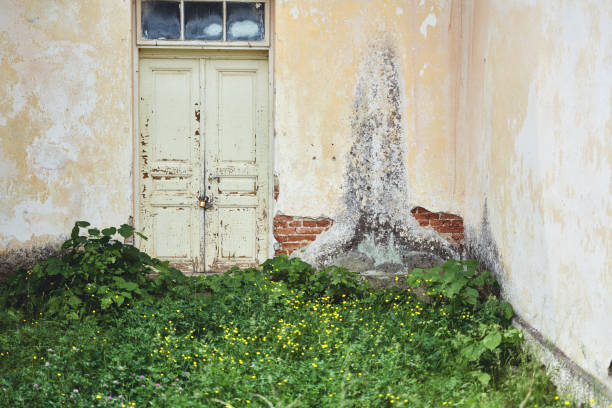 Closed old door in old abandoned house
