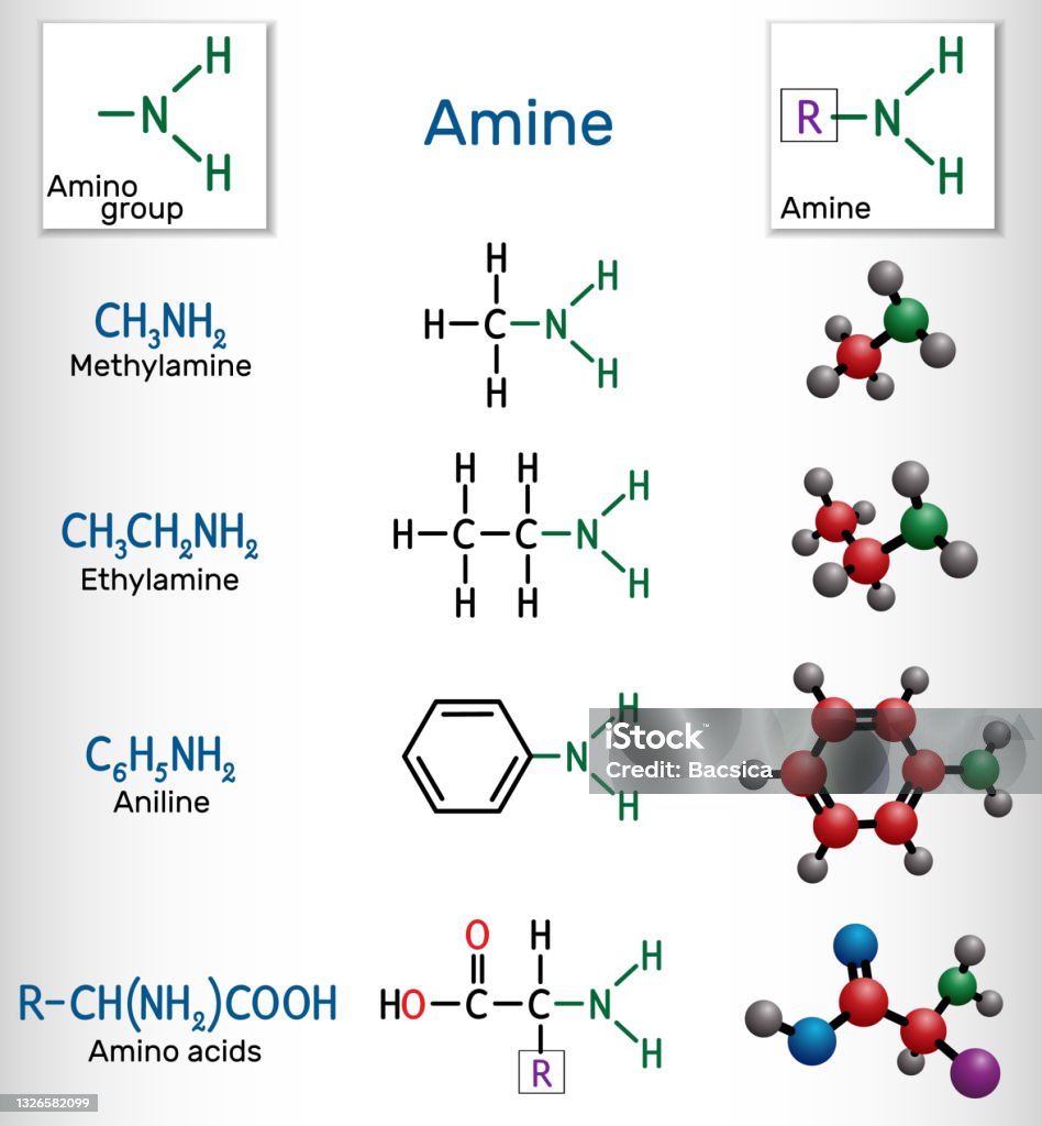 Amine Functional Group amine-functional-group