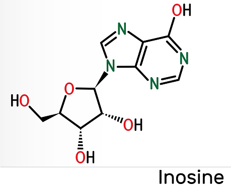 Inosine molecule. It is purine nucleoside, commonly occurs in tRNA. Consists of hypoxanthine connected to ribofuranose glycosidic bond. Skeletal chemical formula. Illustration