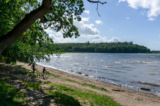 dos ciclistas de montaña disfrutan de un paseo en bicicleta a las playas del fiordo de roskilde, en el norte de dinamarca - roskilde fotografías e imágenes de stock