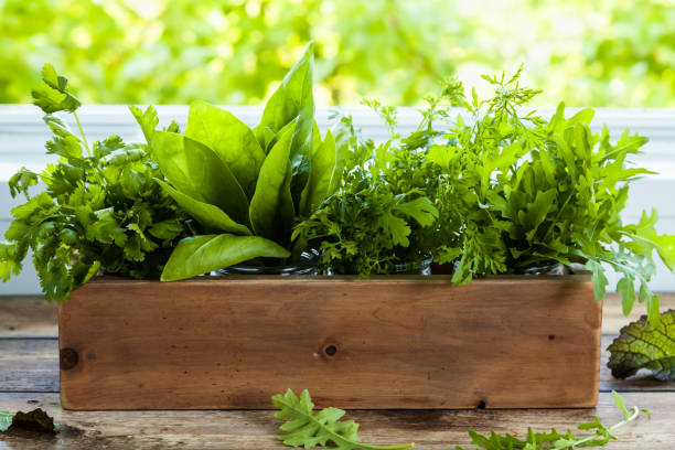 istock Fresh herbs in a wooden box on the kitchen table. 1326584289