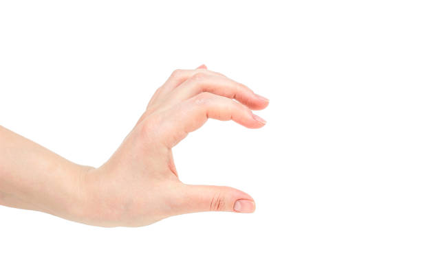 istock Caucasian woman empty hand holding something isolated on white background 1326590303