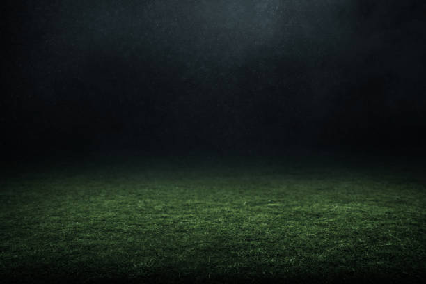 istock Professional soccer field stadium background 1326612360