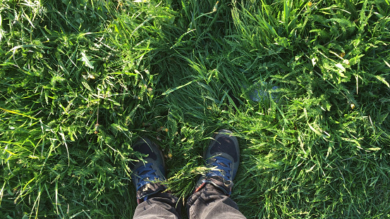 Feet in shoes on the green spring grass top view 1