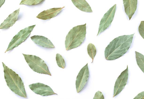 istock Dry green leaf set isolated on white background 1326614839