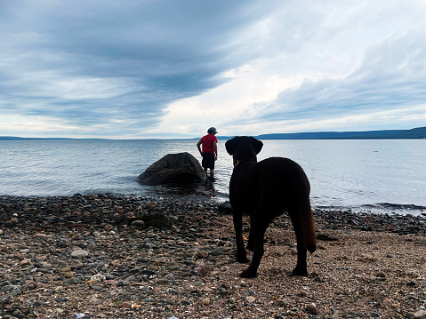 A teen boy with his Labrador puppy at the beach in the evening