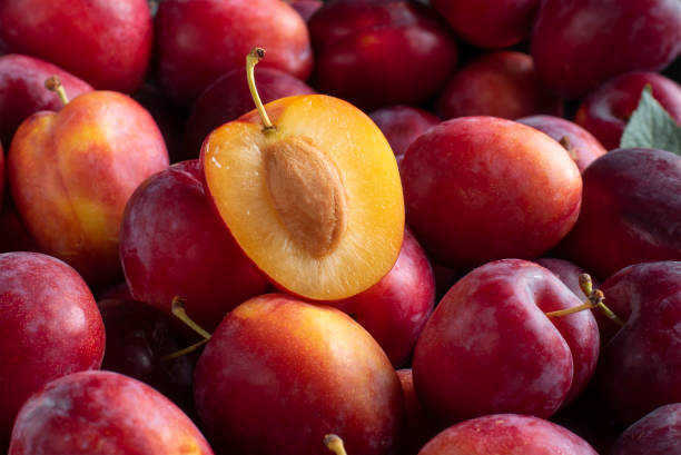 istock Ripe red plums, fruit background close up 1326616391
