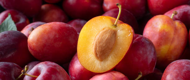 istock Ripe red plums, fruit background close up. Banner. 1326616449