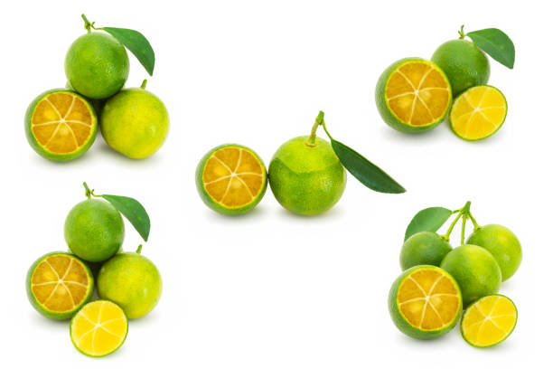 Ripe oranges in autumn orchard