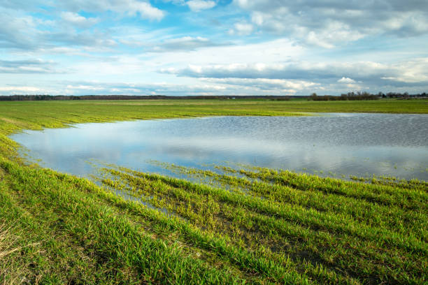 istock Water puddle after rain on a green farmland 1326618515