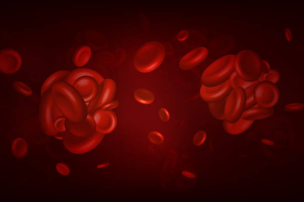 Blood clots, thrombus or embolus with coagulated erythrocytes. Blood clots, thrombus or embolus with coagulated erythrocytes, platelets in the blood vessels of the body blood clot stock illustrations