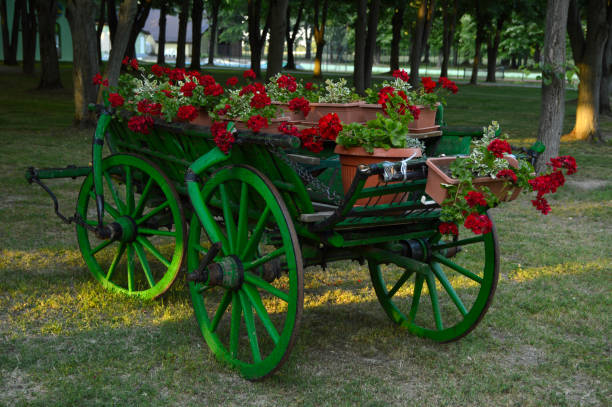 istock vintage carriage decorated with red blooming geraniums 1326624220
