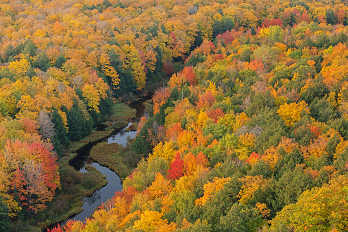 Aerial perspective of autumn forest and Carp River, Lake of the Clouds, Porcupine Mountains Wilderness State Park, Michigan's Upper Peninsula, USA