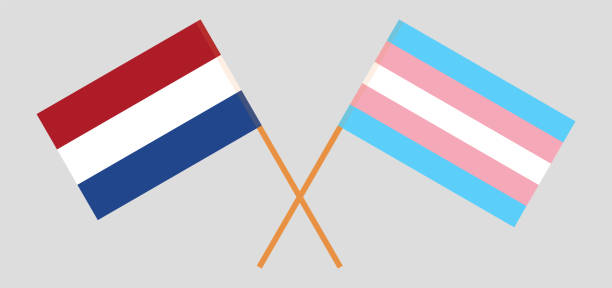 オランダとトランスジェンダーの誇りの旗を渡った。公式の色。正しい比率 - drag line点のイラスト素材／クリップアート素材／マンガ素材／アイコン素材