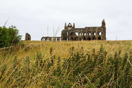 Colour photograph of Whitby Abbey ruins in the U.K