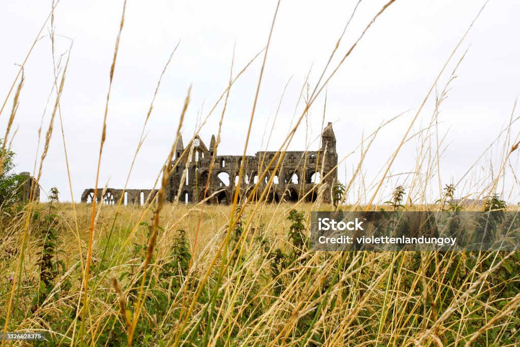 Ruins of Whitby Abbey Colour photograph of Whitby Abbey ruins in the U.K Abbey - Monastery Stock Photo
