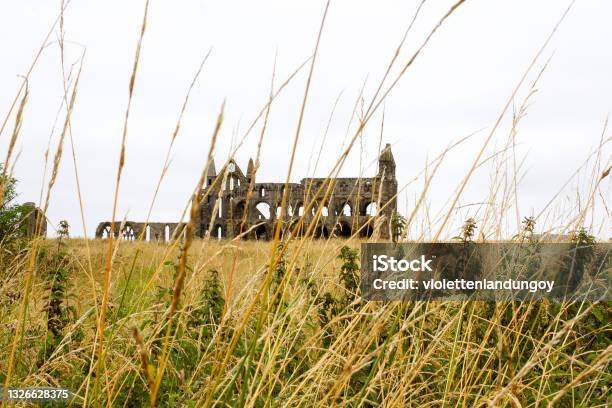 Ruins Of Whitby Abbey Stock Photo - Download Image Now - Abbey - Monastery, Church, Whitby - North Yorkshire - England