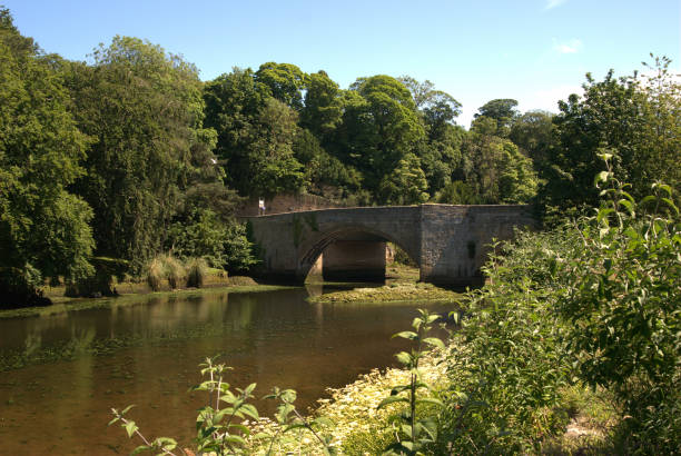 istock old stone bridge over river Coquet at Warkworth village 1326629359