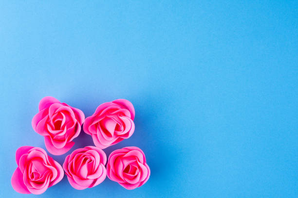istock Pink rose on a blue background. 1326629411