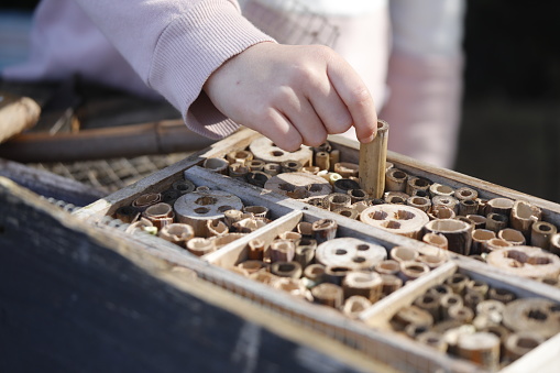 Child builds wooden insect hotel DIY