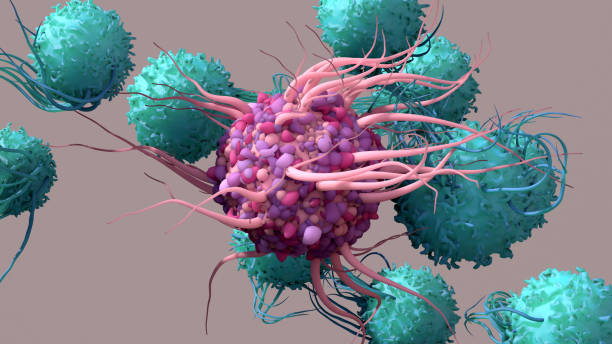 las células dentriticas activan las células t, desencadenan respuestas inmunitarias, son responsables de la protección celular del cuerpo. - cáncer tumor fotografías e imágenes de stock