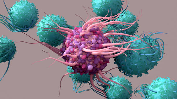 축 약 세포 는 t 세포를 활성화, 면역 반응을 트리거, 그들은 신체의 세포 보호의 책임. - t세포 뉴스 사진 이미지