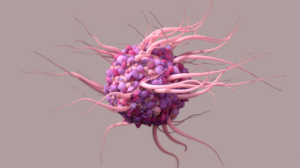 дентритические клетки, ответственная защита клеток организма, важная роль в иммунной системе. - anti cancer стоковые фото и изображения