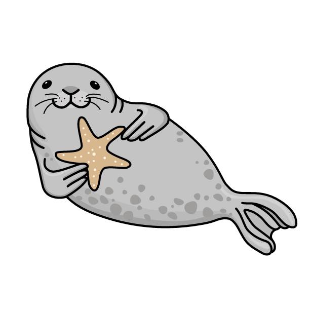 illustrazioni stock, clip art, cartoni animati e icone di tendenza di otaria grigia con stella marina-134(ai)) - image computer graphic sea one animal
